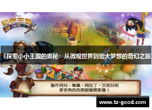 《探索小小王国的奥秘：从微观世界到宏大梦想的奇幻之旅》