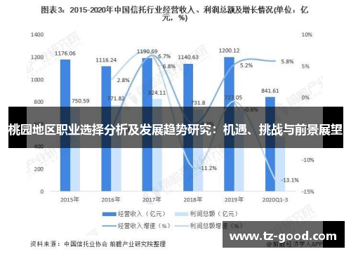 桃园地区职业选择分析及发展趋势研究：机遇、挑战与前景展望