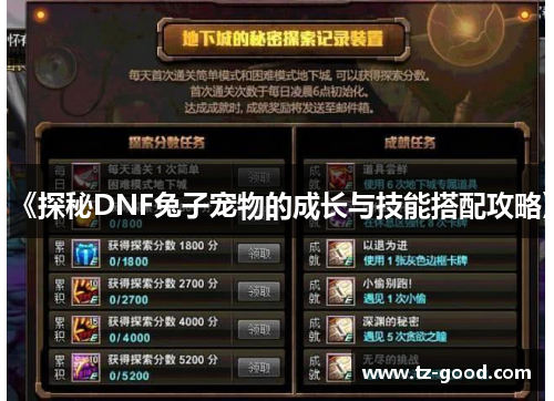 《探秘DNF兔子宠物的成长与技能搭配攻略》