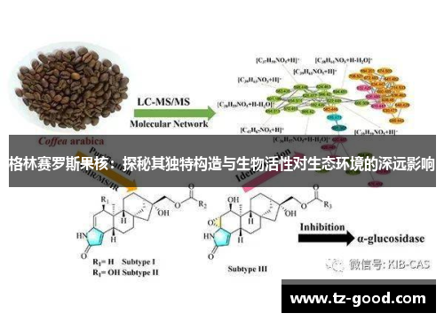 格林赛罗斯果核：探秘其独特构造与生物活性对生态环境的深远影响
